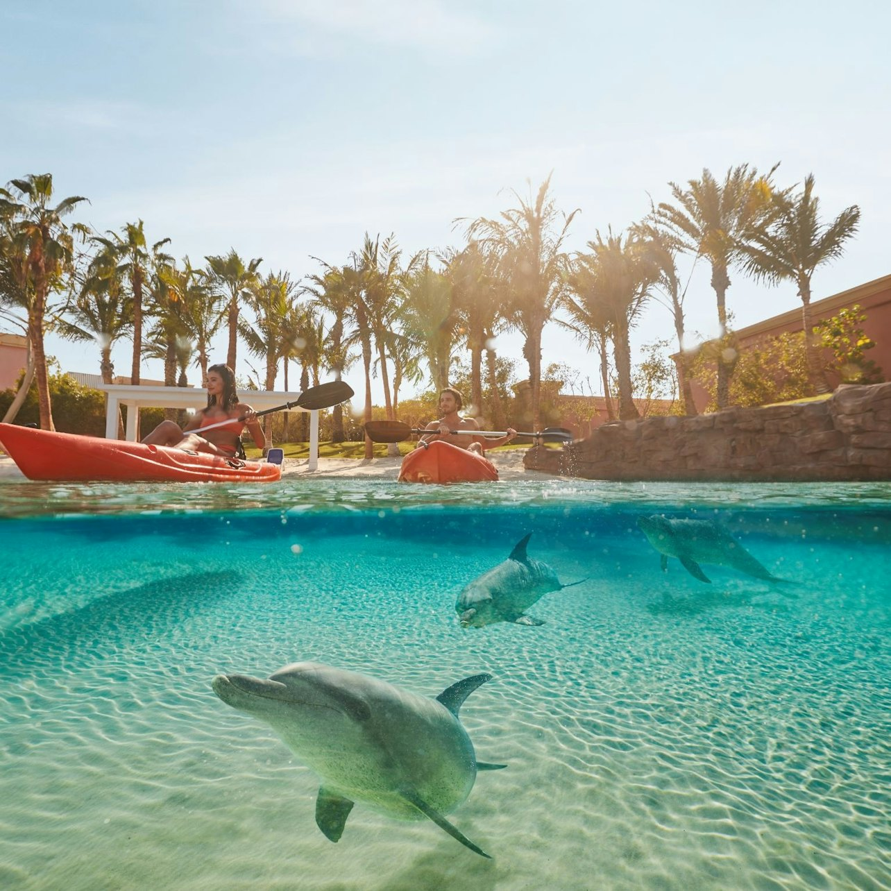 Paddle through tranquil waters as playful dolphins glide alongside enjoying the serene beauty of Dolphin Bay Lagoon—a perfect blend of learning and leisure for every traveler.